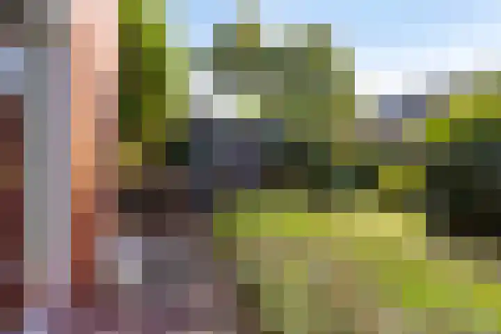 Halligen 4 Zaandam thumbnail 60