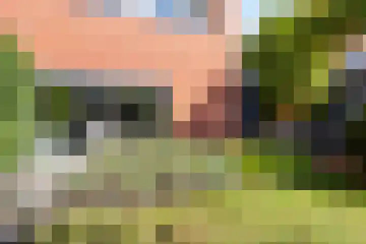 Halligen 4 Zaandam thumbnail 61