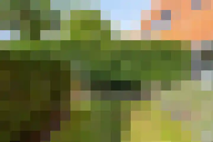 Halligen 4 Zaandam thumbnail 62