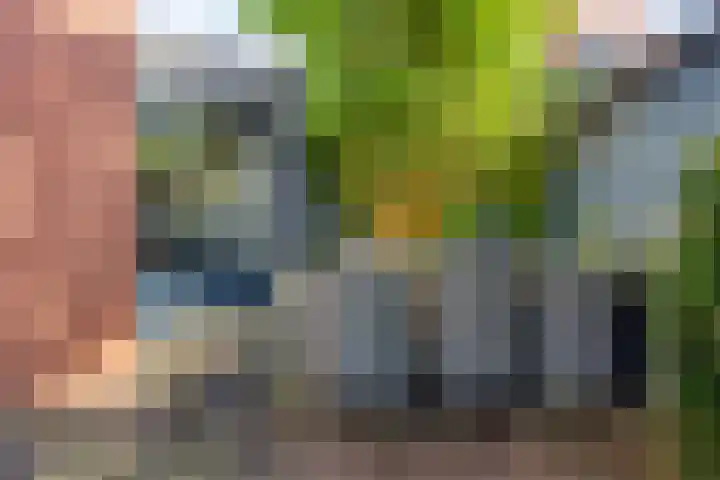 Halligen 4 Zaandam thumbnail 63