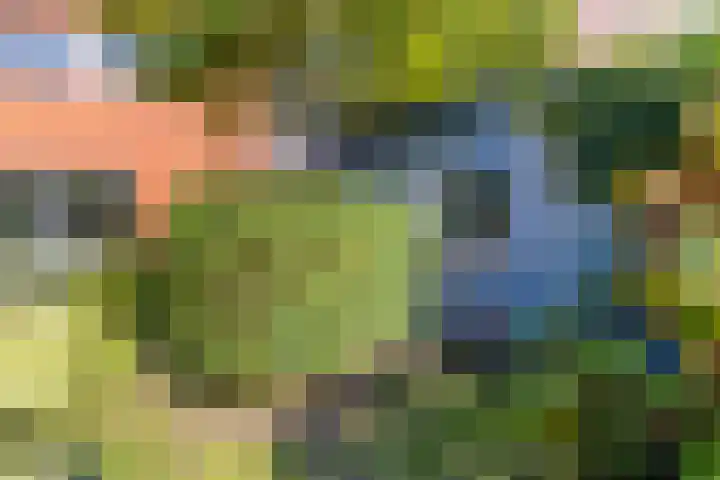 Halligen 4 Zaandam thumbnail 64