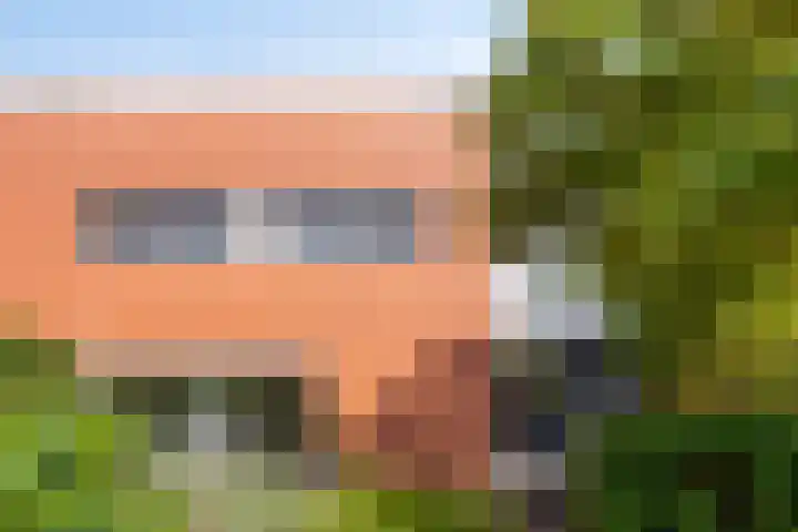 Halligen 4 Zaandam thumbnail 66
