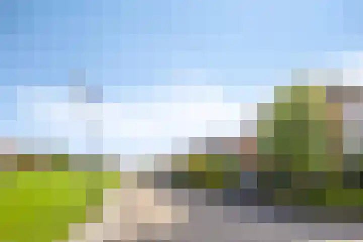 Halligen 4 Zaandam thumbnail 69