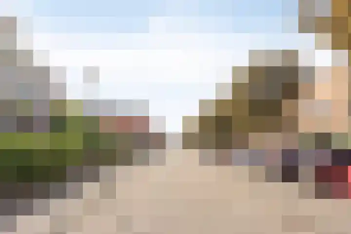 Halligen 4 Zaandam thumbnail 70