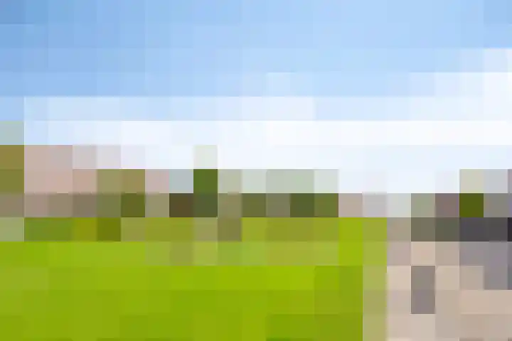 Halligen 4 Zaandam thumbnail 71
