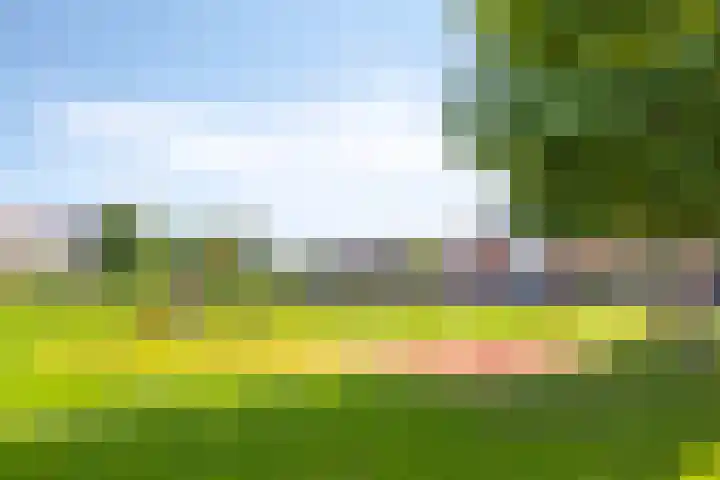 Halligen 4 Zaandam thumbnail 74