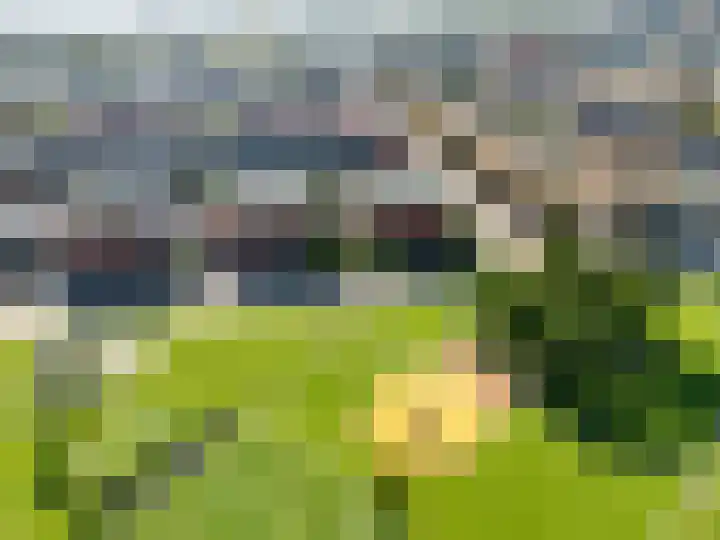 Halligen 4 Zaandam thumbnail 76
