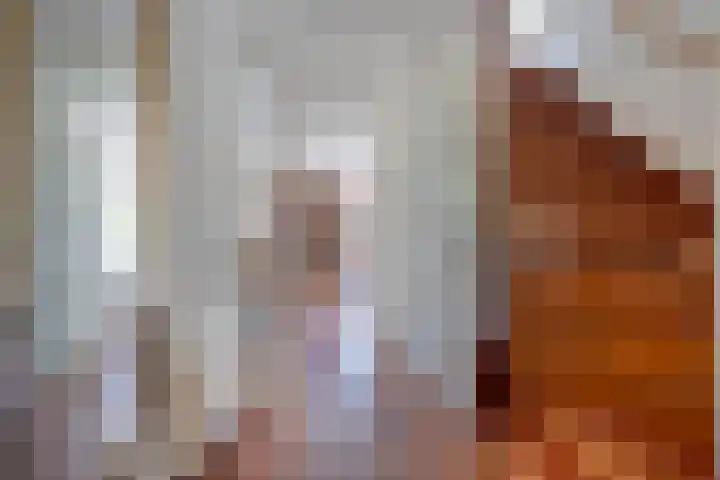Halligen 4 Zaandam thumbnail 9