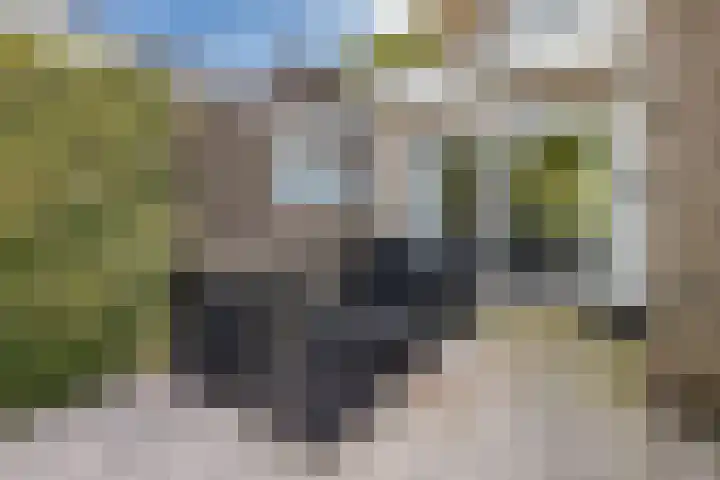 Hallincklaan 14 Loosdrecht thumbnail 4