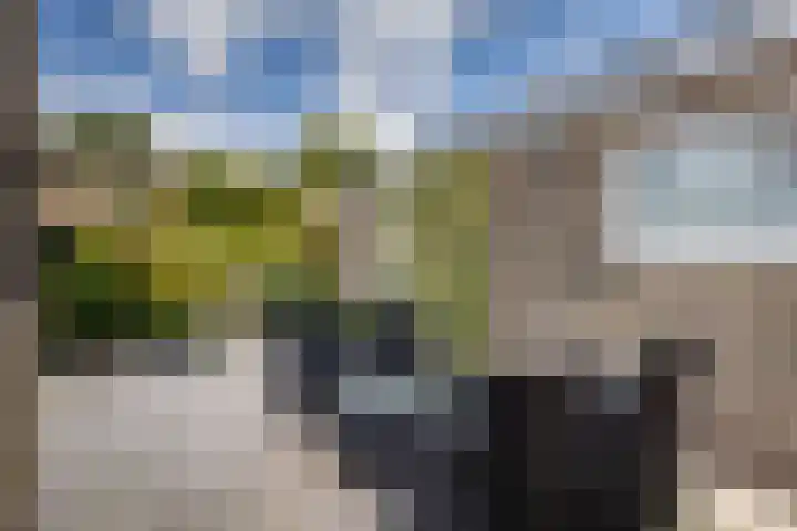 Hallincklaan 14 Loosdrecht thumbnail 5