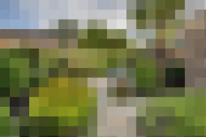Hallincklaan 14 Loosdrecht thumbnail 6