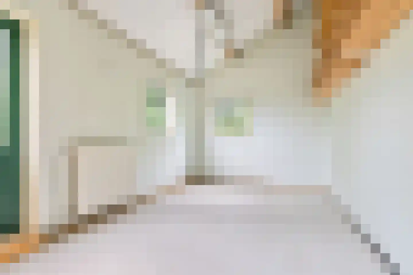 Hallinxweg 48 Numansdorp thumbnail 11