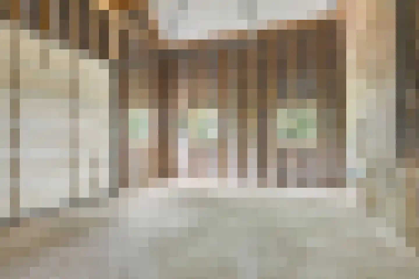 Hallinxweg 48 Numansdorp thumbnail 13