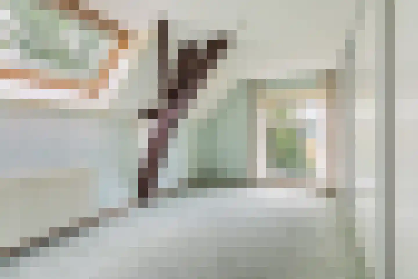 Hallinxweg 48 Numansdorp thumbnail 15