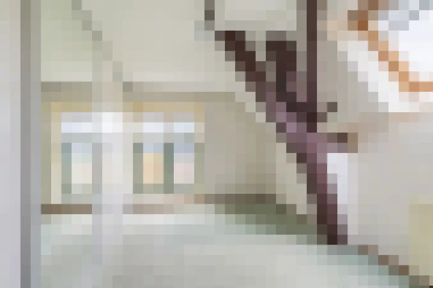 Hallinxweg 48 Numansdorp thumbnail 16