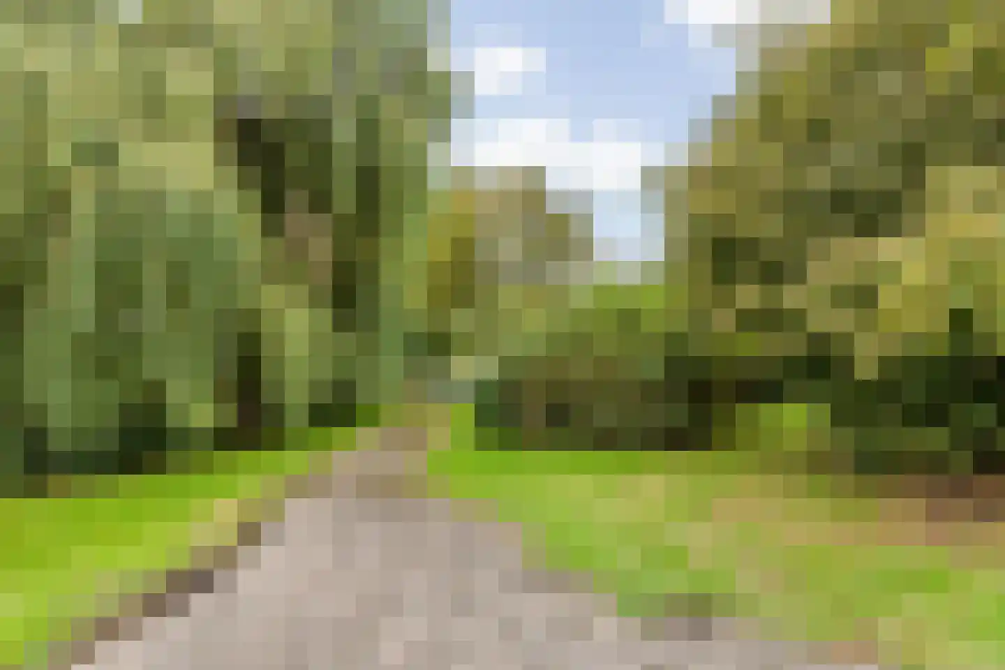 Hallinxweg 48 Numansdorp thumbnail 20