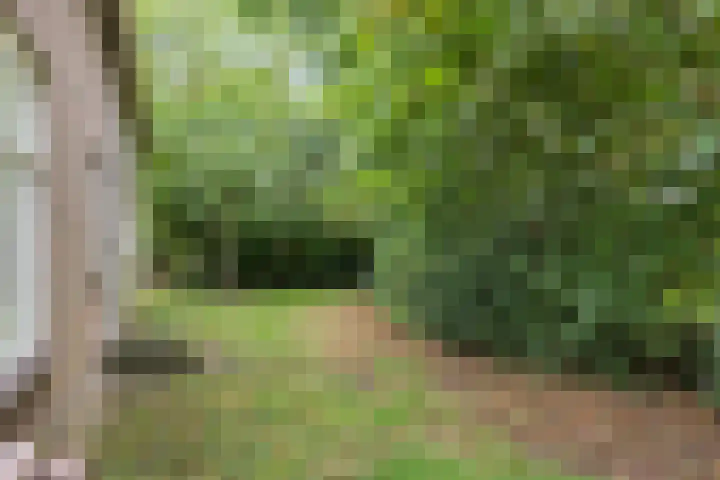 Hallinxweg 48 Numansdorp thumbnail 21