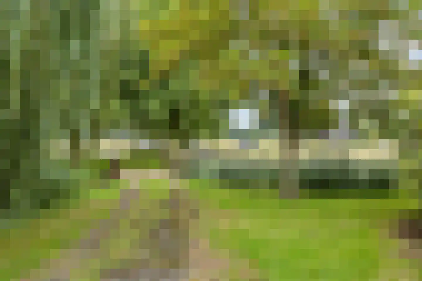 Hallinxweg 48 Numansdorp thumbnail 23