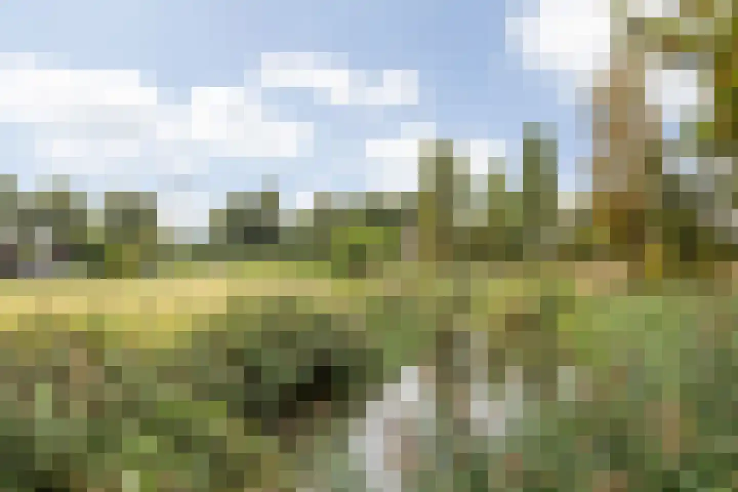 Hallinxweg 48 Numansdorp thumbnail 25