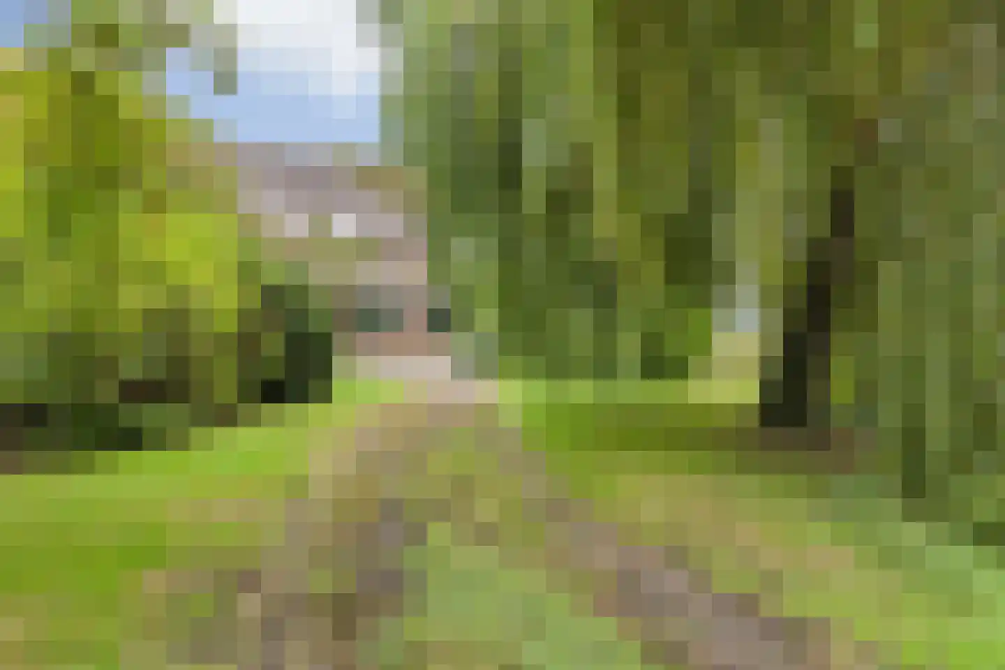 Hallinxweg 48 Numansdorp thumbnail 26