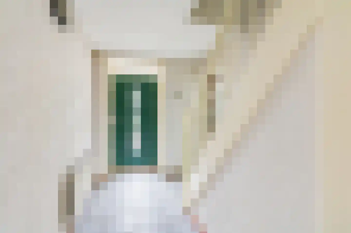 Hallinxweg 48 Numansdorp thumbnail 6