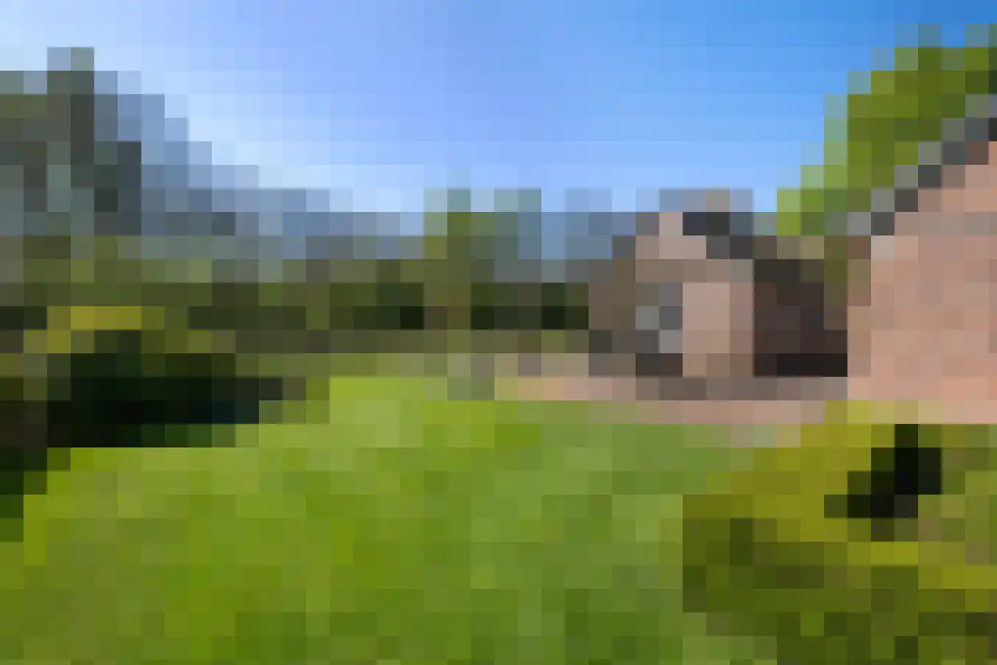 Hallsedijk 13 Tonden thumbnail 51