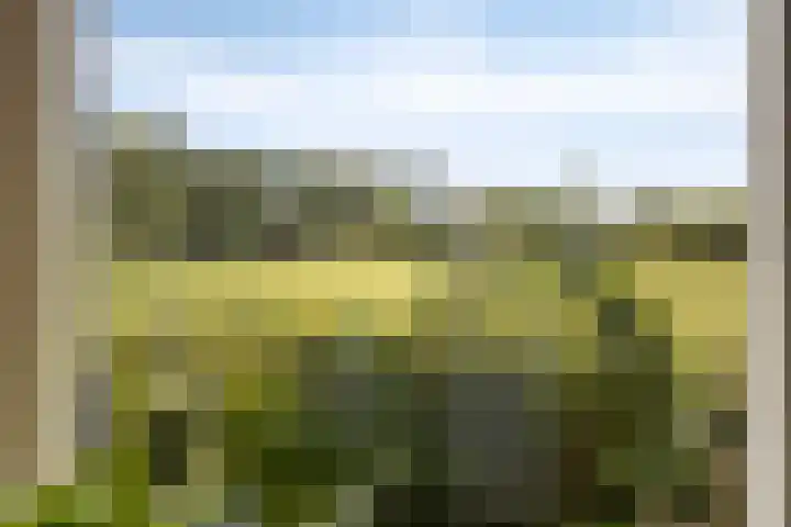 Hallsedijk 14 Tonden thumbnail 19