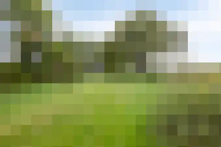 Hallsedijk 14 Tonden thumbnail 53