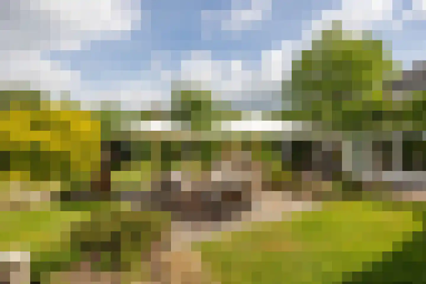 Hallsedijk 29 Tonden thumbnail 43