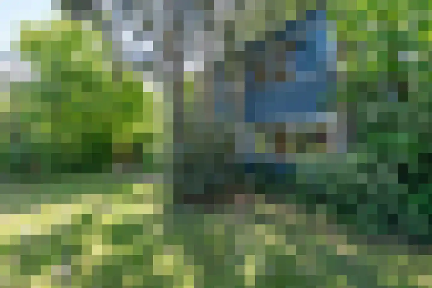 Hallstein-Nes 16 Bergen (NH) thumbnail 10