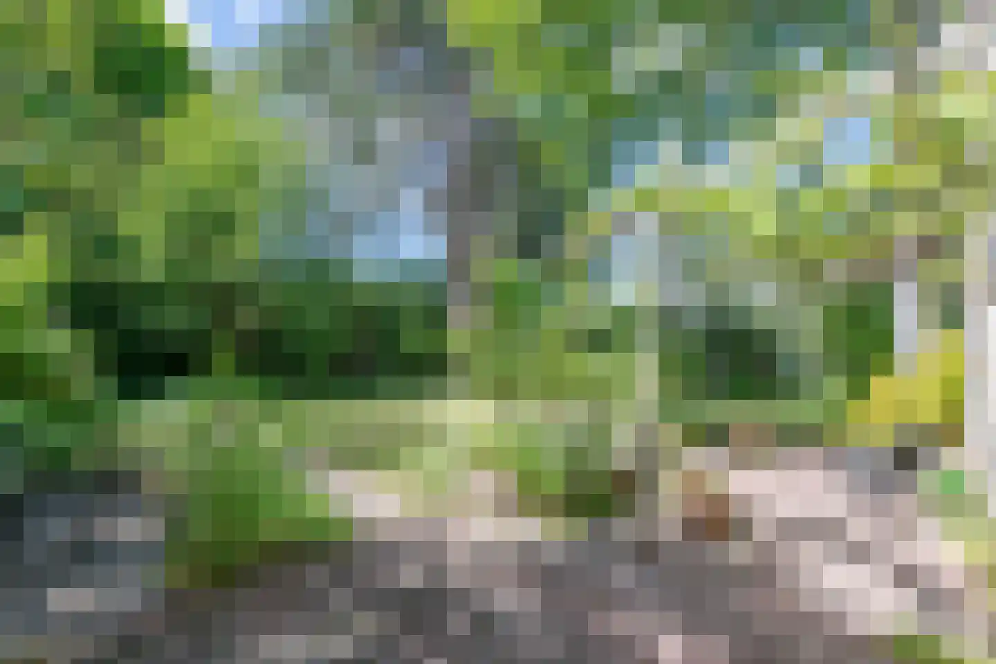 Hallstein-Nes 16 Bergen (NH) thumbnail 45
