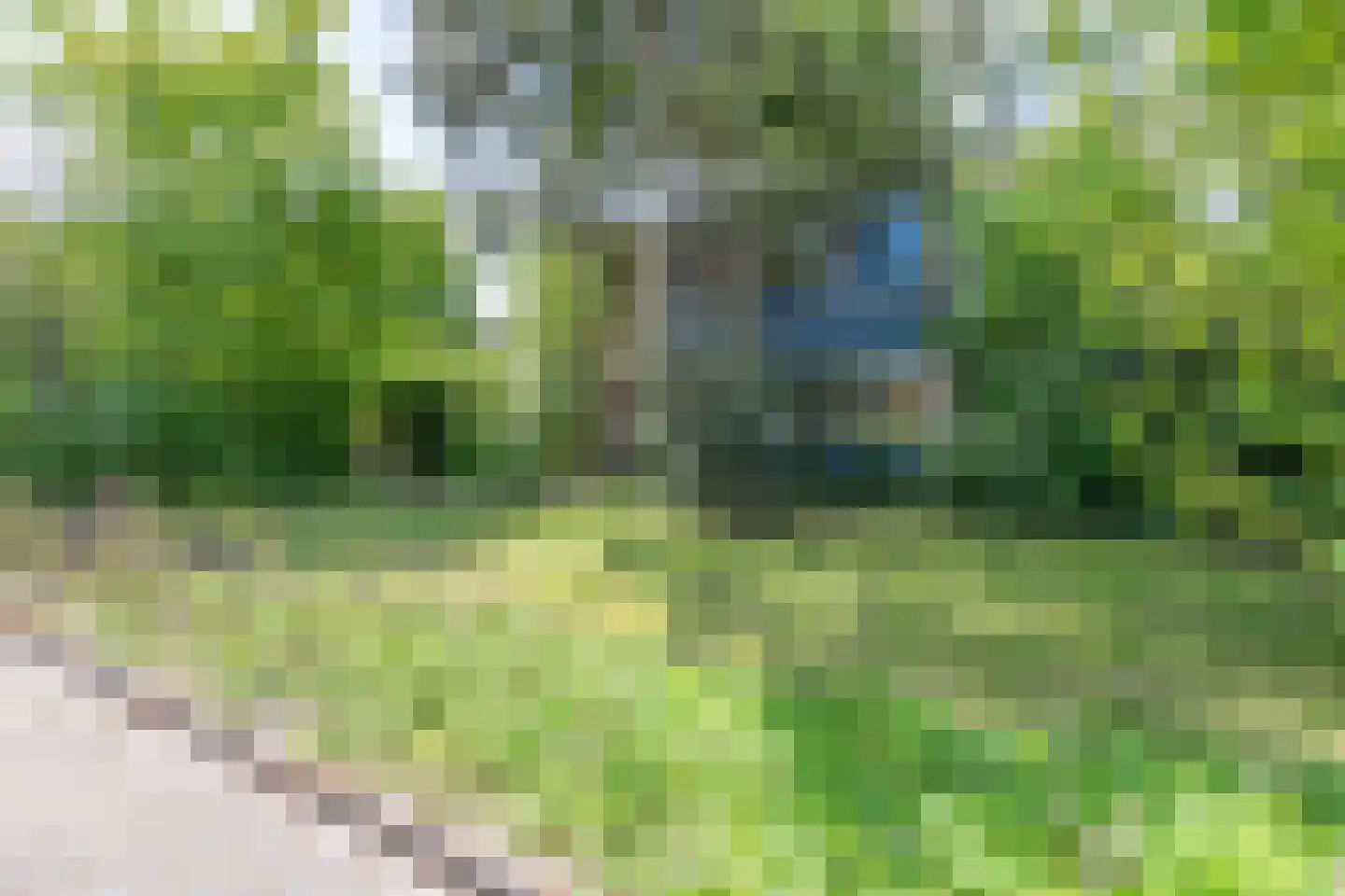 Hallstein-Nes 16 Bergen (NH) thumbnail 7