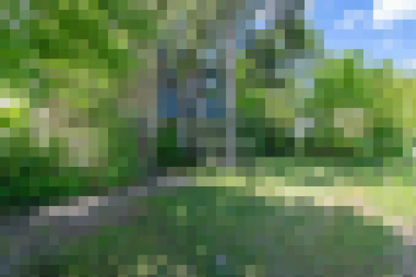 Hallstein-Nes 16 Bergen (NH) thumbnail 9
