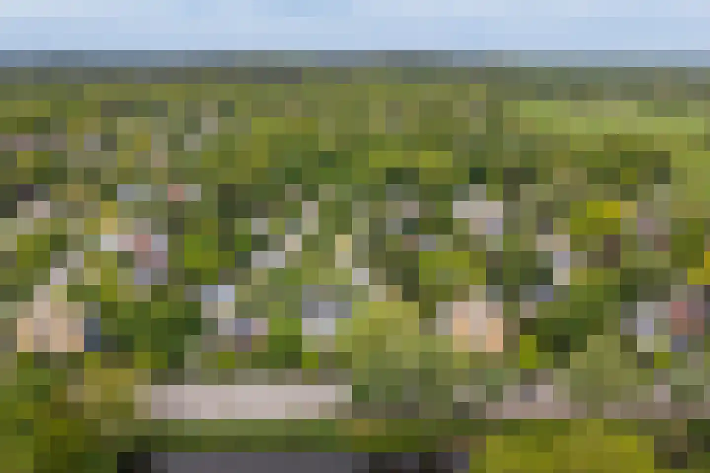 Hallstein-Nes 21 Bergen (NH) thumbnail 105