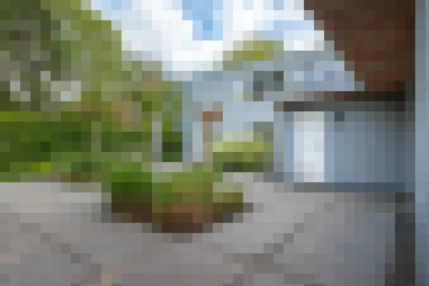 Hallstein-Nes 21 Bergen (NH) thumbnail 45