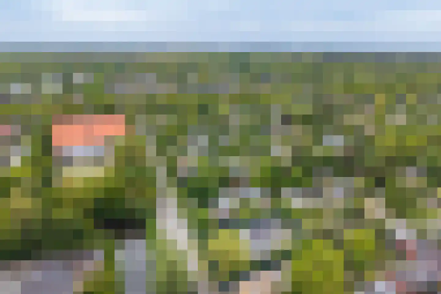 Hallstein-Nes 21 Bergen (NH) thumbnail 88