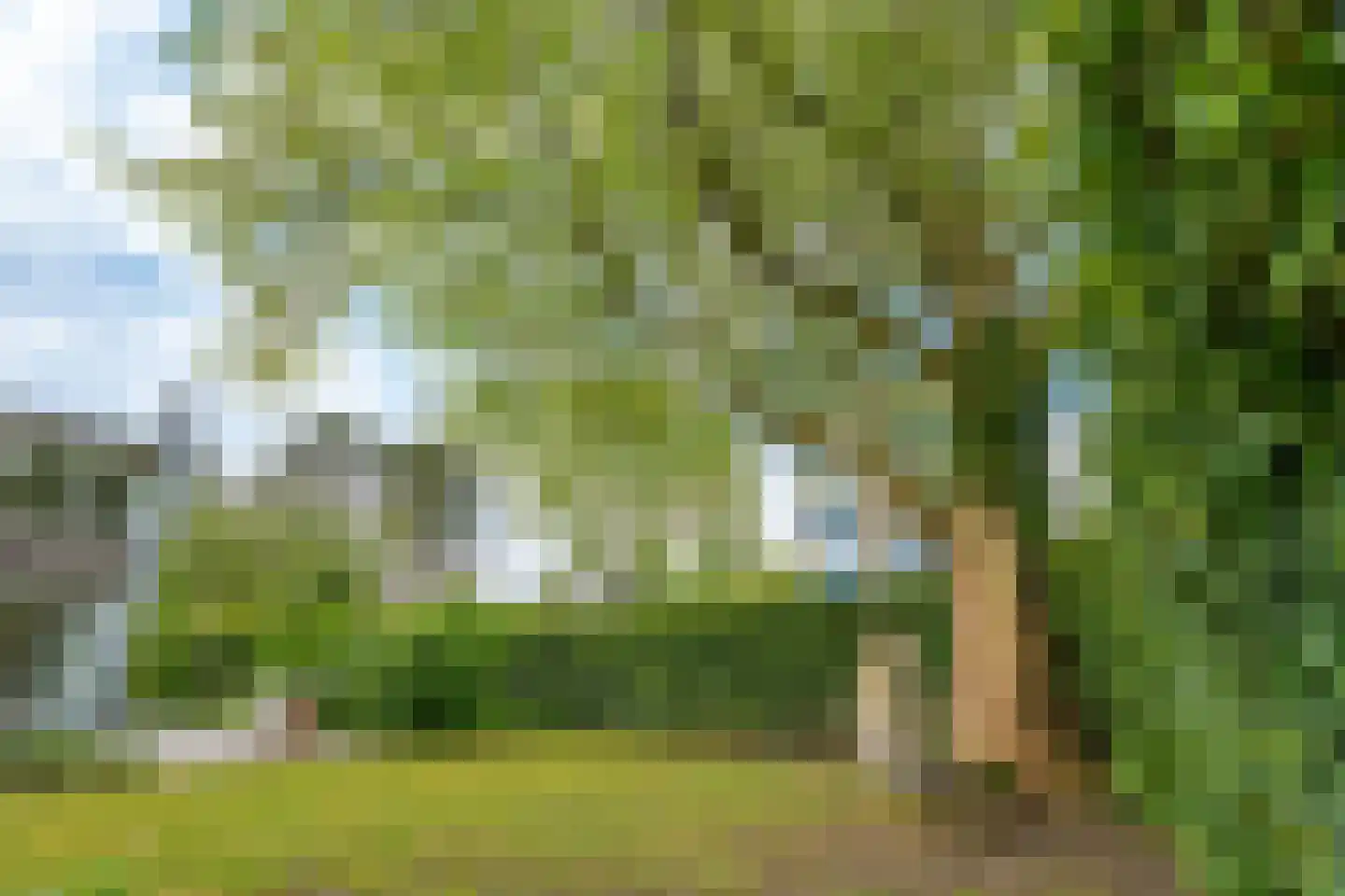 Hallstein-Nes 21 Bergen (NH) thumbnail 92