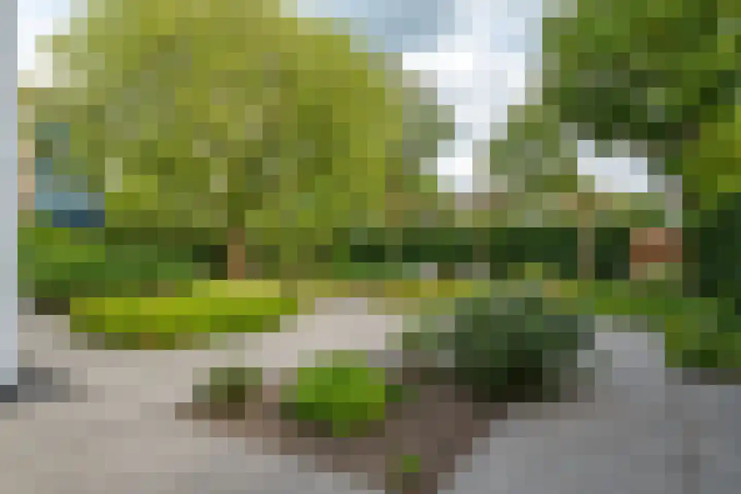 Hallstein-Nes 21 Bergen (NH) thumbnail 93
