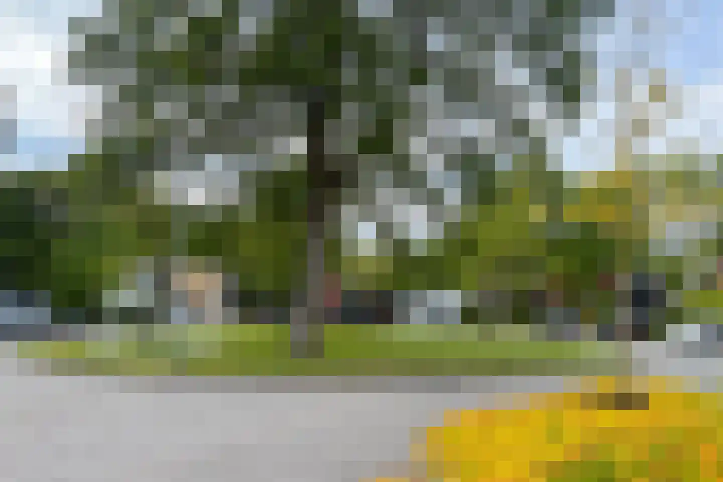 Hallstein-Nes 21 Bergen (NH) thumbnail 97