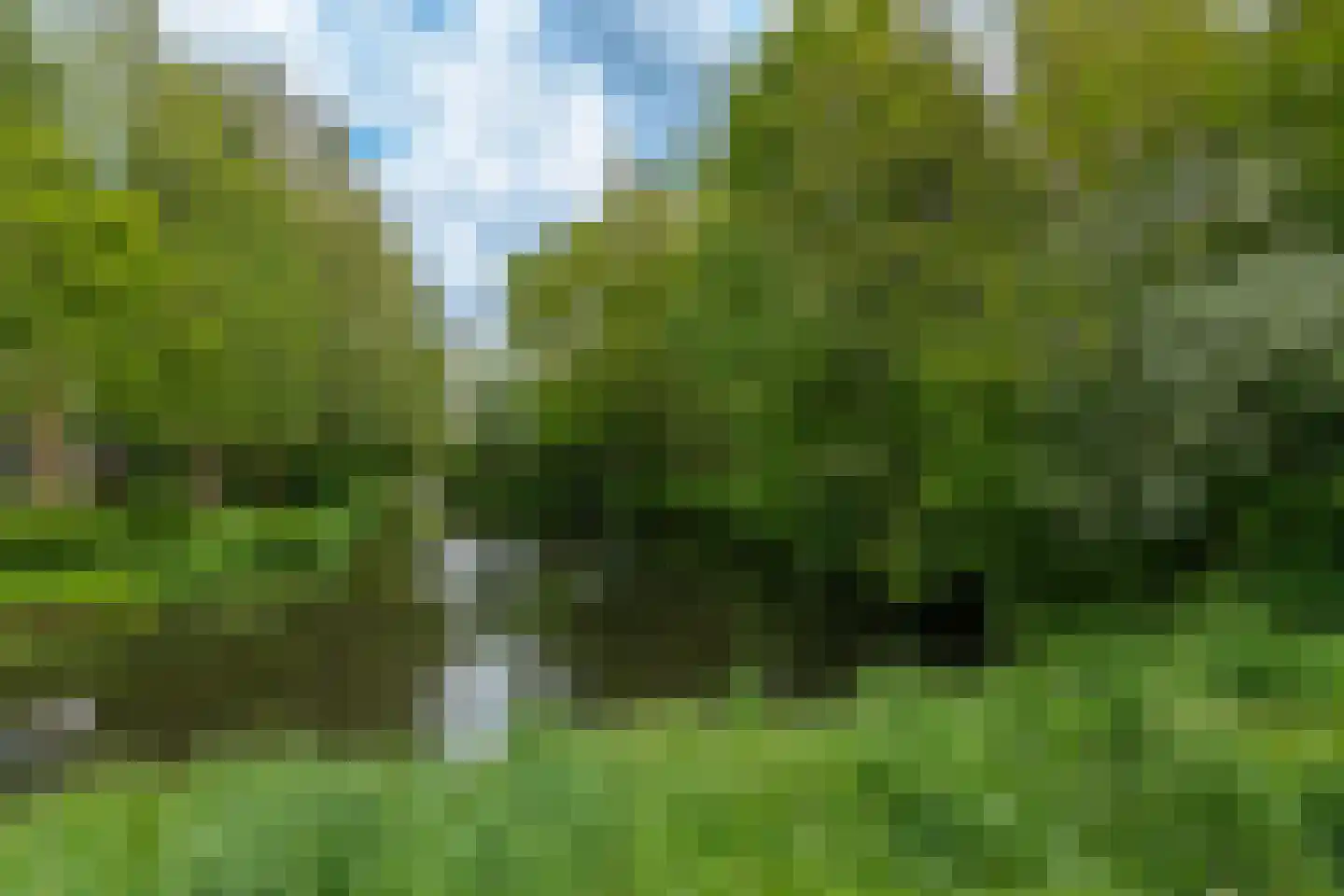 Hallstein-Nes 21 Bergen (NH) thumbnail 99