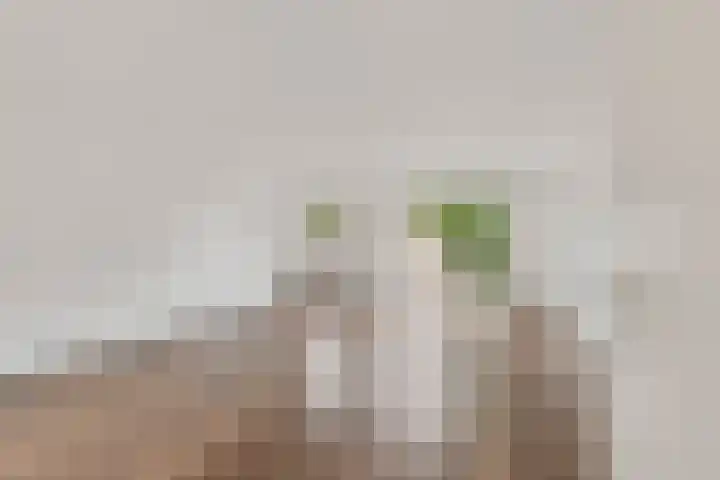 Hallsteinstraat 59 Zevenaar thumbnail 12