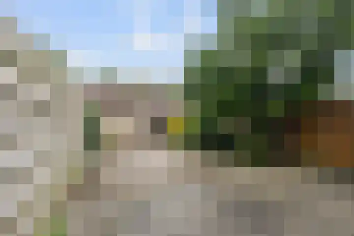 Hallsteinstraat 59 Zevenaar thumbnail 16