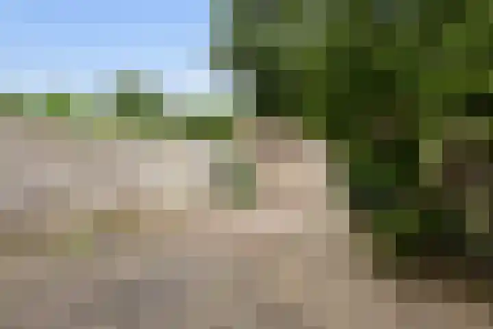 Hallsteinstraat 59 Zevenaar thumbnail 17