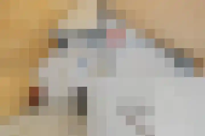 Hallsteinstraat 59 Zevenaar thumbnail 27