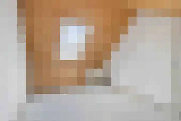 Hallsteinstraat 59 Zevenaar thumbnail 32