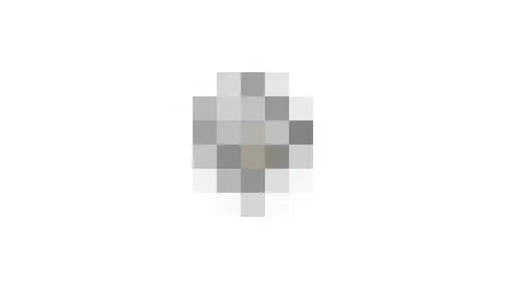 Hallsteinstraat 59 Zevenaar thumbnail 43
