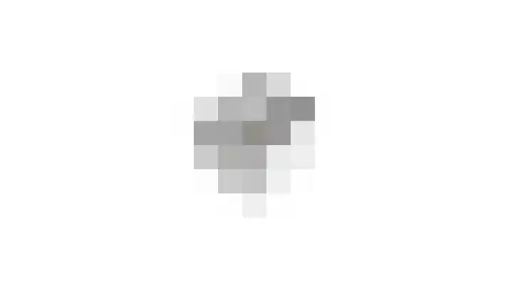 Hallsteinstraat 59 Zevenaar thumbnail 44