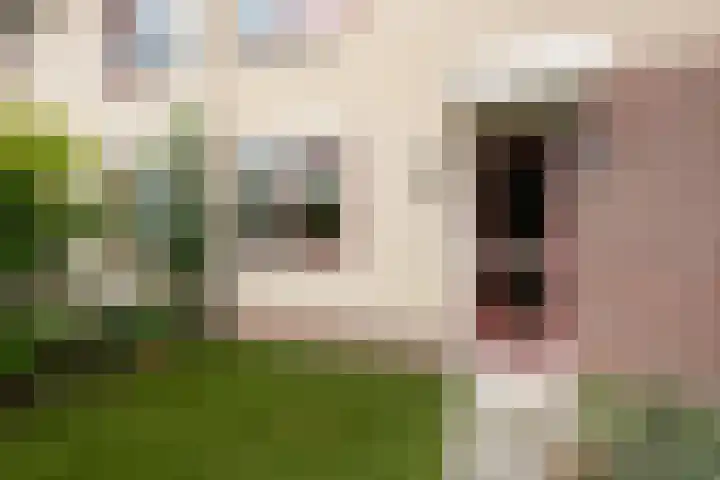 Hallsteinstraat 59 Zevenaar thumbnail 6