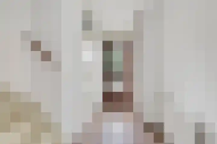 Hallsteinstraat 59 Zevenaar thumbnail 8