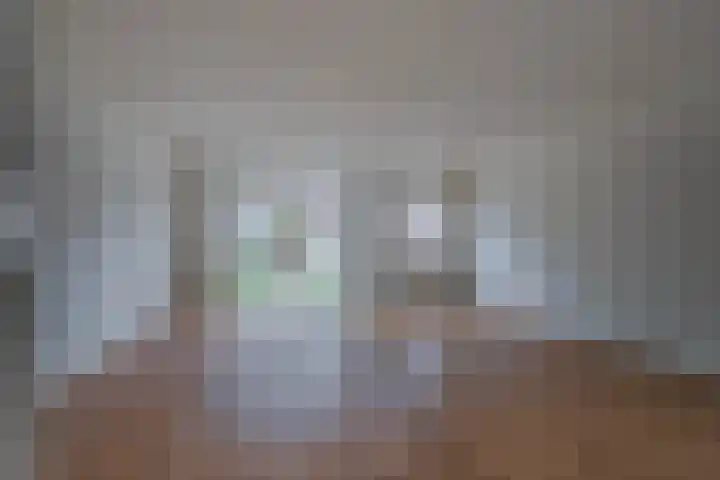 Hallsteinstraat 61 Zevenaar thumbnail 11